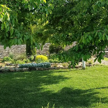 Guest house Cozy House Bohot Relax, бохот релакс